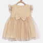 Infant Girls Net Party Dress